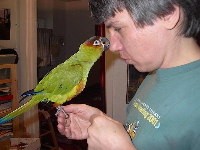 Dakota eats Karin's nose
